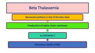 Beta Thalassemia
Decreased synthesis or lack of the beta chain
Production of alpha chain continues
α₄ (tetramer )
Premature death of RBC
 