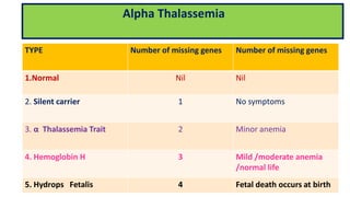 TYPE Number of missing genes Number of missing genes
1.Normal Nil Nil
2. Silent carrier 1 No symptoms
3. α Thalassemia Trait 2 Minor anemia
4. Hemoglobin H 3 Mild /moderate anemia
/normal life
5. Hydrops Fetalis 4 Fetal death occurs at birth
Alpha Thalassemia
 