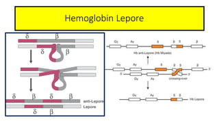 Hemoglobin Lepore
 