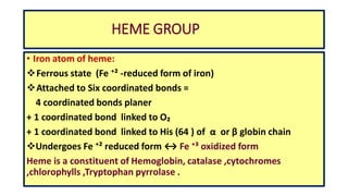 HEME GROUP
• Iron atom of heme:
Ferrous state (Fe ⁺² -reduced form of iron)
Attached to Six coordinated bonds =
4 coordinated bonds planer
+ 1 coordinated bond linked to O₂
+ 1 coordinated bond linked to His (64 ) of α or β globin chain
Undergoes Fe ⁺² reduced form ↔ Fe ⁺³ oxidized form
Heme is a constituent of Hemoglobin, catalase ,cytochromes
,chlorophylls ,Tryptophan pyrrolase .
 