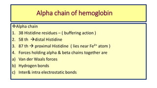 Alpha chain of hemoglobin
Alpha chain
1. 38 Histidine residues – ( buffering action )
2. 58 th distal Histidine
3. 87 th  proximal Histidine ( lies near Fe²⁺ atom )
4. Forces holding alpha & beta chains together are
a) Van der Waals forces
b) Hydrogen bonds
c) Inter& intra electrostatic bonds
 