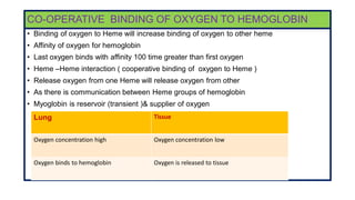 CO-OPERATIVE BINDING OF OXYGEN TO HEMOGLOBIN
• Binding of oxygen to Heme will increase binding of oxygen to other heme
• Affinity of oxygen for hemoglobin
• Last oxygen binds with affinity 100 time greater than first oxygen
• Heme –Heme interaction ( cooperative binding of oxygen to Heme )
• Release oxygen from one Heme will release oxygen from other
• As there is communication between Heme groups of hemoglobin
• Myoglobin is reservoir (transient )& supplier of oxygen
Lung Tissue
Oxygen concentration high Oxygen concentration low
Oxygen binds to hemoglobin Oxygen is released to tissue
 