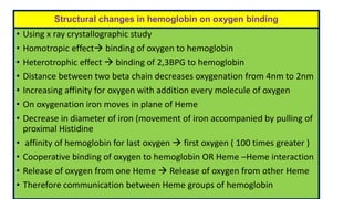 Structural changes in hemoglobin on oxygen binding
• Using x ray crystallographic study
• Homotropic effect binding of oxygen to hemoglobin
• Heterotrophic effect  binding of 2,3BPG to hemoglobin
• Distance between two beta chain decreases oxygenation from 4nm to 2nm
• Increasing affinity for oxygen with addition every molecule of oxygen
• On oxygenation iron moves in plane of Heme
• Decrease in diameter of iron (movement of iron accompanied by pulling of
proximal Histidine
• affinity of hemoglobin for last oxygen  first oxygen ( 100 times greater )
• Cooperative binding of oxygen to hemoglobin OR Heme –Heme interaction
• Release of oxygen from one Heme  Release of oxygen from other Heme
• Therefore communication between Heme groups of hemoglobin
 