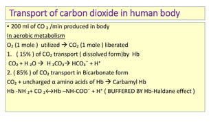 Transport of carbon dioxide in human body
• 200 ml of CO ₂ /min produced in body
In aerobic metabolism
O₂ (1 mole ) utilized  CO₂ (1 mole ) liberated
1. ( 15% ) of CO₂ transport ( dissolved form)by Hb
CO₂ + H ₂O  H ₂CO₃ HCO₃¯ + H⁺
2. ( 85% ) of CO₂ transport in Bicarbonate form
CO₂ + uncharged α amino acids of Hb  Carbamyl Hb
Hb -NH ₂+ CO ₂↔Hb –NH-COO¯ + H⁺ ( BUFFERED BY Hb-Haldane effect )
 