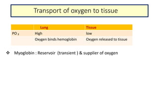 Transport of oxygen to tissue
 Myoglobin : Reservoir (transient ) & supplier of oxygen
Lung Tissue
PO ₂ High low
Oxygen binds hemoglobin Oxygen released to tissue
 