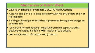Mechanism of Bohr’s Effect
• Caused by binding of hydrogen & CO2 TO HEMOGLOBIN
• Aspartic acid ( 94 ) is in close proximity with his 146 of beta chain of
hemoglobin
• Binding of hydrogen to Histidine is promoted by negative charge on
aspartic acid
• Ionic bond formed between negatively charged aspartic acid &
positively charged Histidine formation of salt bridges
• OXY –Hb( R-form )  DEOXY –Hb ( T-form )
 