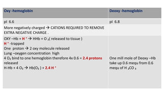 Oxy -hemoglobin Deoxy -hemoglobin
pI 6.6 pI 6.8
More negatively charged  CATIONS REQUIRED TO REMOVE
EXTRA NEGATIVE CHARGE .
OXY –Hb + H ⁺  HHb + O ₂( released to tissue )
H ⁺ -trapped
One proton  2 oxy molecule released
Lung –oxygen concentration high
4 O₂ bind to one hemoglobin therefore 4x 0.6 = 2.4 protons
released
H-Hb + 4 O₂  Hb(O₂ ) + 2.4 H ⁺
One mill mole of Deoxy –Hb
take up 0.6 mequ from 0.6
mequ of H ₂CO ₃
 