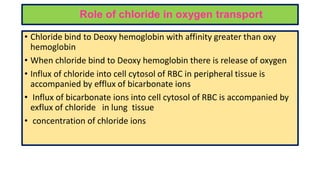 Role of chloride in oxygen transport
• Chloride bind to Deoxy hemoglobin with affinity greater than oxy
hemoglobin
• When chloride bind to Deoxy hemoglobin there is release of oxygen
• Influx of chloride into cell cytosol of RBC in peripheral tissue is
accompanied by efflux of bicarbonate ions
• Influx of bicarbonate ions into cell cytosol of RBC is accompanied by
exflux of chloride in lung tissue
• concentration of chloride ions
 