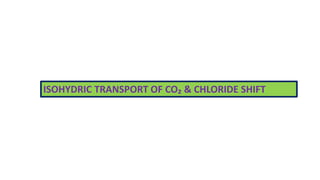 ISOHYDRIC TRANSPORT OF CO₂ & CHLORIDE SHIFT
 