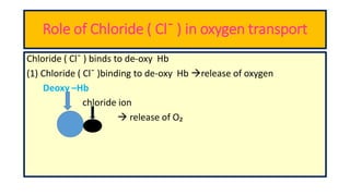 Role of Chloride ( Cl¯ ) in oxygen transport
Chloride ( Cl¯ ) binds to de-oxy Hb
(1) Chloride ( Cl¯ )binding to de-oxy Hb release of oxygen
Deoxy –Hb
chloride ion
 release of O₂
 