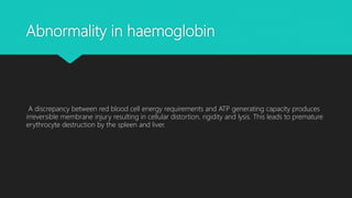 Abnormality in haemoglobin
A discrepancy between red blood cell energy requirements and ATP generating capacity produces
irreversible membrane injury resulting in cellular distortion, rigidity and lysis. This leads to premature
erythrocyte destruction by the spleen and liver.
 