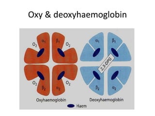 Oxy & deoxyhaemoglobin
 