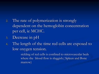 2. The rate of polymerization is strongly
dependent on the hemoglobin concentration
per cell, ie MCHC.
3. Decrease in pH
4. The length of the time red cells are exposed to
low oxygen tension.
sickling of red cells is confined to microvascular beds
where the blood flow is sluggish.( Spleen and Bone
marrow)
 