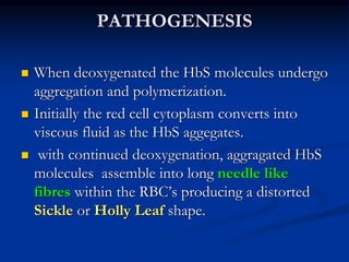 PATHOGENESIS
 When deoxygenated the HbS molecules undergo
aggregation and polymerization.
 Initially the red cell cytoplasm converts into
viscous fluid as the HbS aggegates.
 with continued deoxygenation, aggragated HbS
molecules assemble into long needle like
fibres within the RBC’s producing a distorted
Sickle or Holly Leaf shape.
 