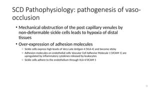 Comprehensive Overview of Sickle Cell Disease and Haemoglobinopathies ...