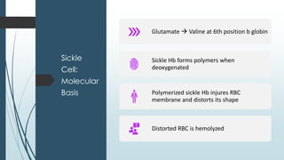 Sickle
Cell:
Molecular
Basis
Glutamate  Valine at 6th position b globin
Sickle Hb forms polymers when
deoxygenated
Polymerized sickle Hb injures RBC
membrane and distorts its shape
Distorted RBC is hemolyzed
 
