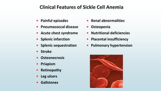 Clinical Features of Sickle Cell Anemia
• Painful episodes
• Pneumococcal disease
• Acute chest syndrome
• Splenic infarction
• Splenic sequestration
• Stroke
• Osteonecrosis
• Priapism
• Retinopathy
• Leg ulcers
• Gallstones
• Renal abnormalities
• Osteopenia
• Nutritional deficiencies
• Placental insufficiency
• Pulmonary hypertension
 