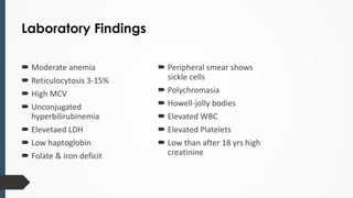Laboratory Findings
 Moderate anemia
 Reticulocytosis 3-15%
 High MCV
 Unconjugated
hyperbilirubinemia
 Elevetaed LDH
 Low haptoglobin
 Folate & iron deficit
 Peripheral smear shows
sickle cells
 Polychromasia
 Howell-jolly bodies
 Elevated WBC
 Elevated Platelets
 Low than after 18 yrs high
creatinine
 