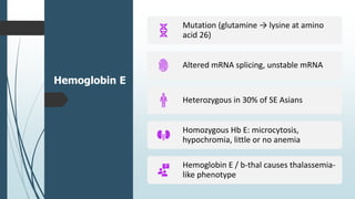 Hemoglobin E
Mutation (glutamine → lysine at amino
acid 26)
Altered mRNA splicing, unstable mRNA
Heterozygous in 30% of SE Asians
Homozygous Hb E: microcytosis,
hypochromia, little or no anemia
Hemoglobin E / b-thal causes thalassemia-
like phenotype
 