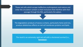 The result is an extremely rigid red cell with a shortened survival (i.e.,
hemolysis).
The degradation products of excess α-chains, particularly heme and iron,
produce deleterious effects on red cell membrane proteins and lipids.
Those red cells which escape ineffective erythropoiesis and mature and
enter the circulation contain α-chain inclusions that interfere with their
passage through the RES, particularly the spleen.
 