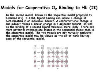 Models for Cooperative O2 Binding to Hb (II)
In the second model, known as the sequential model proposed by
Koshland (Fig. 5-15b), ligand binding can induce a change of
conformation in an individual subunit. A conformational change in
one subunit makes a similar change in a adjacent subunit, as well
as the binding of a second ligand molecule, more likely. There are
more potential intermediate states in the sequential model than in
the concerted model. The two models are not mutually exclusive:
the concerted model may be viewed as the all-or-none limiting
case of the sequential model.
 