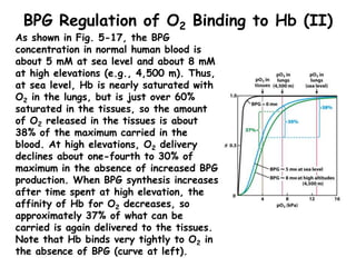 BPG Regulation of O2 Binding to Hb (II)
As shown in Fig. 5-17, the BPG
concentration in normal human blood is
about 5 mM a...