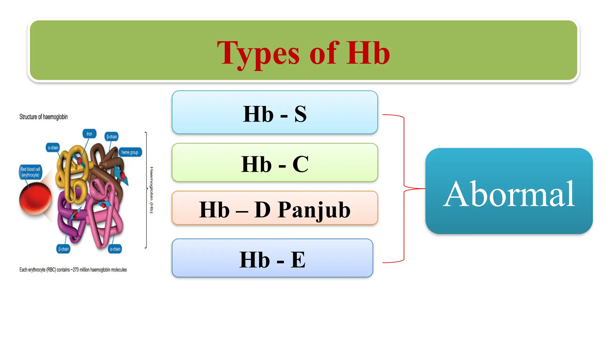 Types of Hb
Hb - S
Hb - C
Hb – D Panjub Abormal
Hb - E
 