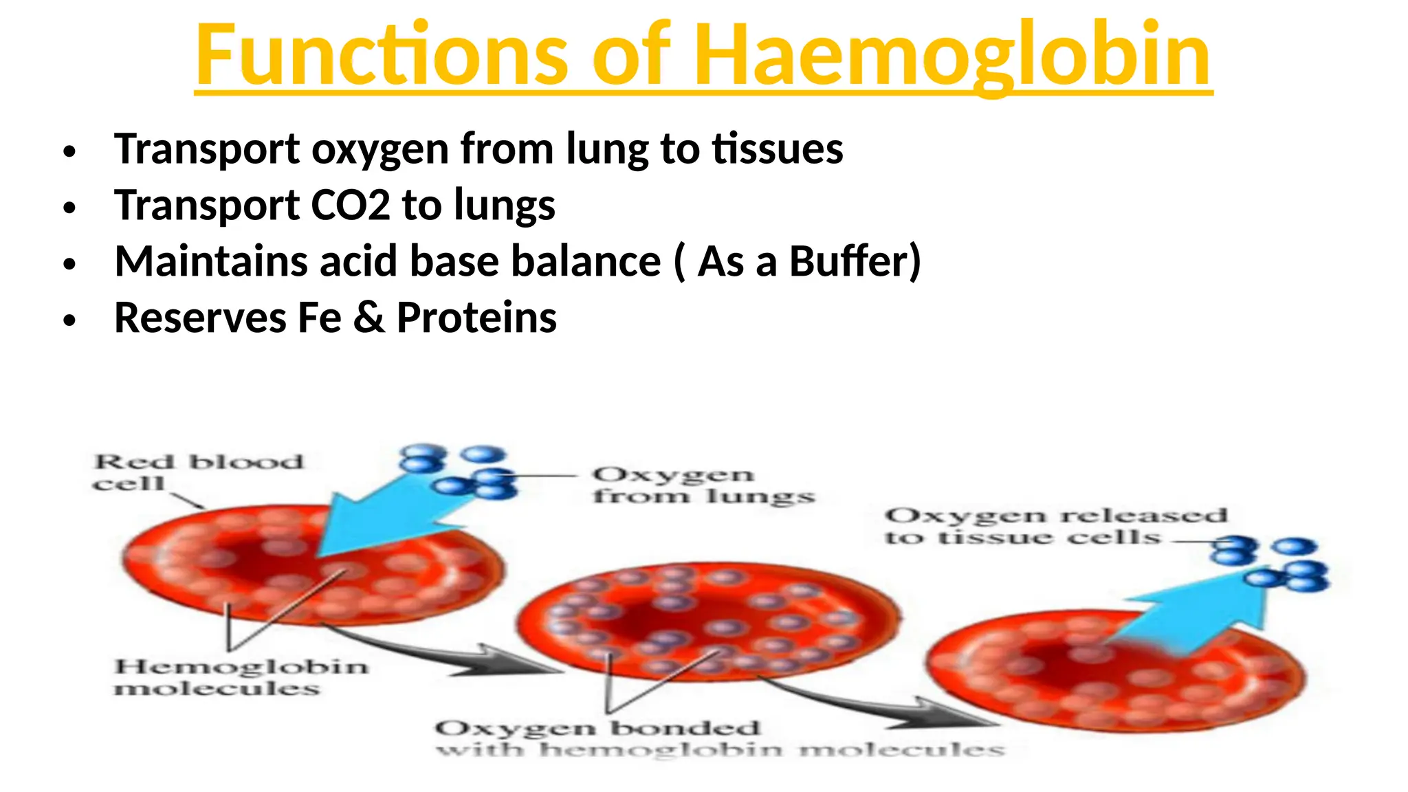 Functions of Haemoglobin
• Transport oxygen from lung to tissues
• Transport CO2 to lungs
• Maintains acid base balance ( As a Buffer)
• Reserves Fe & Proteins
 