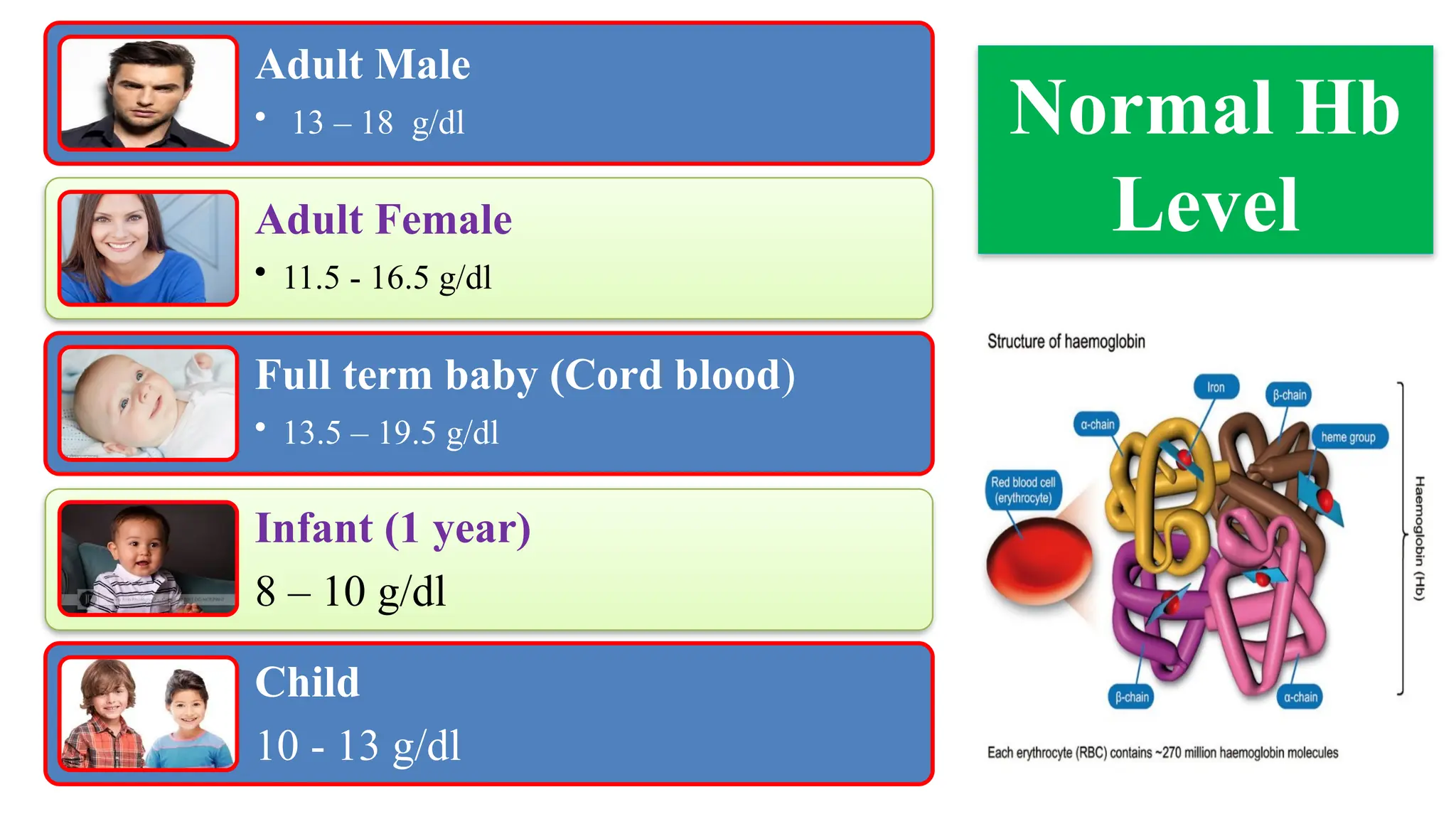 Adult Male
• 13 – 18 g/dl
Adult Female
• 11.5 - 16.5 g/dl
Full term baby (Cord blood)
• 13.5 – 19.5 g/dl
Infant (1 year)
8 – 10 g/dl
Child
10 - 13 g/dl
Normal Hb
Level
 