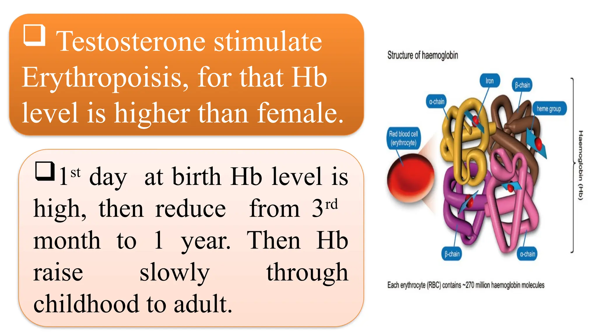  Testosterone stimulate
Erythropoisis, for that Hb
level is higher than female.
1st
day at birth Hb level is
high, then reduce from 3rd
month to 1 year. Then Hb
raise slowly through
childhood to adult.
 