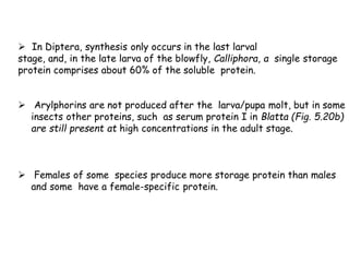Lymph Bug Insect Haemolymph - Insect anatomy and Physiology : Entomology | PDF