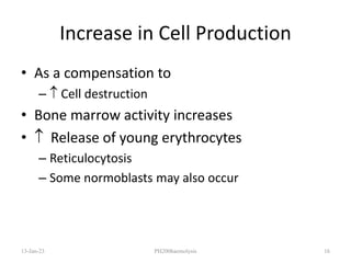 Increase in Cell Production
• As a compensation to
–  Cell destruction
• Bone marrow activity increases
•  Release of young erythrocytes
– Reticulocytosis
– Some normoblasts may also occur
13-Jan-23 PH200haemolysis 16
 