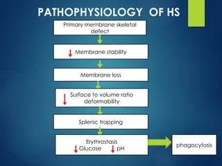 haemolyticanemia1-180715132324 ppt(1).pptx