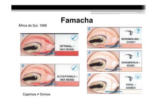 Famacha
África do Sul, 1998




  Caprinos ≠ Ovinos
 