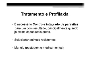 Tratamento e Profilaxia

• É necessário Controle integrado de parasitas
  para um bom resultado, principalmente quando
  já existe cepas resistentes.

• Selecionar animais resistentes

• Manejo (pastagem e medicamentos)
 
