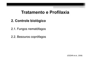 Tratamento e Profilaxia
2. Controle biológico

2.1. Fungos nematófagos

2.2. Besouros coprófagos




                           (CEZAR et al., 2008)
 