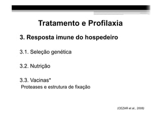 Tratamento e Profilaxia
3. Resposta imune do hospedeiro

3.1. Seleção genética

3.2. Nutrição

3.3. Vacinas*
Proteases e estrutura de fixação



                                   (CEZAR et al., 2008)
 