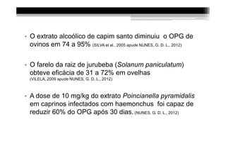 • O extrato alcoólico de capim santo diminuiu o OPG de
  ovinos em 74 a 95% (SILVA et al., 2005 apude NUNES, G. D. L., 2012)


• O farelo da raiz de jurubeba (Solanum paniculatum)
  obteve eficácia de 31 a 72% em ovelhas
  (VILELA, 2009 apude NUNES, G. D. L., 2012)



• A dose de 10 mg/kg do extrato Poincianella pyramidalis
  em caprinos infectados com haemonchus foi capaz de
  reduzir 60% do OPG após 30 dias. (NUNES, G. D. L., 2012)
 