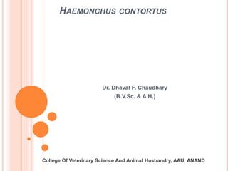 HAEMONCHUS CONTORTUS
Dr. Dhaval F. Chaudhary
(B.V.Sc. & A.H.)
College Of Veterinary Science And Animal Husbandry, AAU, ANAND
 