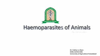 Haemoparasites of Animals
Dr. Fakhar-e-Alam
DVM, M.Phil CMS
University of Agriculture Faisalabad
 
