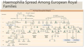 Haemophilia Spread Among European Royal
Families
 