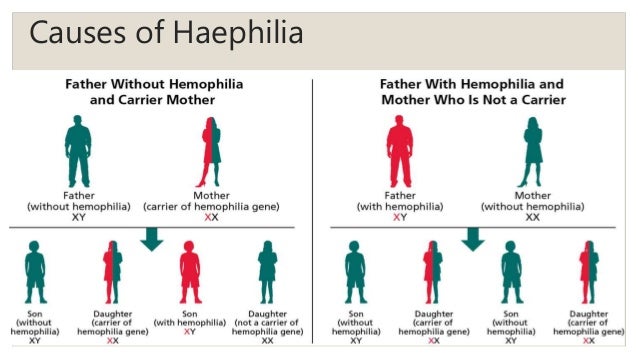 hemophilia genetics