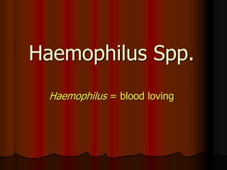 Haemophilus Spp.
Haemophilus = blood loving
 