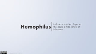 Hemophilus
includes a number of species
that cause a wide variety of
infections
Attribution-NonCommercial-ShareAlike
4.0 International (CC BY-NC-SA 4.0)
 
