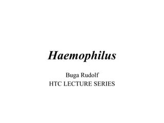 Haemophilus
Buga Rudolf
HTC LECTURE SERIES
 