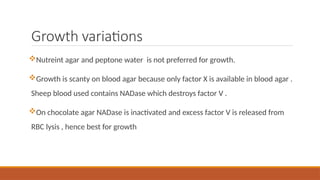 Growth variations
Nutreint agar and peptone water is not preferred for growth.
Growth is scanty on blood agar because only factor X is available in blood agar .
Sheep blood used contains NADase which destroys factor V .
On chocolate agar NADase is inactivated and excess factor V is released from
RBC lysis , hence best for growth
 