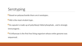 Serotyping
Based on polysaccharide there are 6 serotypes .
Hib is the most virulent type .
Its capsule is made up of polyribosyl ribitol phosphate , and is strongly
immunogenic .
H.influenzae is the first free living organism whose entire genome was
sequenced .
 