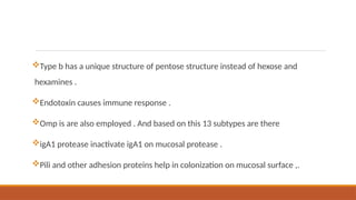 Type b has a unique structure of pentose structure instead of hexose and
hexamines .
Endotoxin causes immune response .
Omp is are also employed . And based on this 13 subtypes are there
igA1 protease inactivate igA1 on mucosal protease .
Pili and other adhesion proteins help in colonization on mucosal surface ,.
 