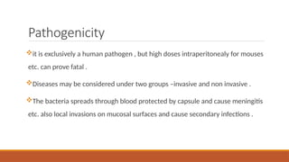 Pathogenicity
it is exclusively a human pathogen , but high doses intraperitonealy for mouses
etc. can prove fatal .
Diseases may be considered under two groups –invasive and non invasive .
The bacteria spreads through blood protected by capsule and cause meningitis
etc. also local invasions on mucosal surfaces and cause secondary infections .
 