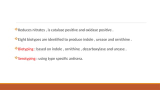 Reduces nitrates , is catalase positive and oxidase positive .
Eight biotypes are identified to produce indole , urease and ornithine .
Biotyping : based on indole , ornithine , decarboxylase and urease .
Serotyping : using type specific antisera.
 
